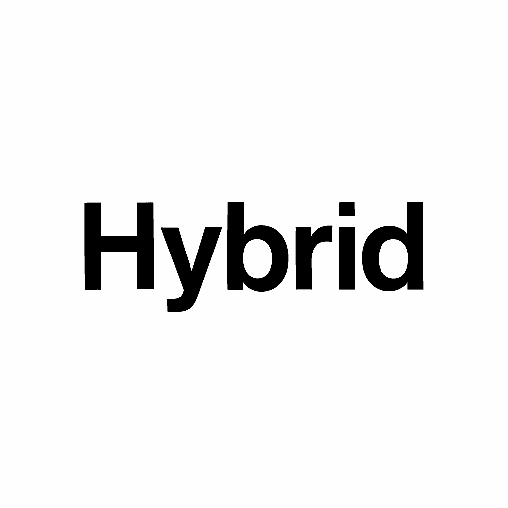 Hybrid – Efektivní 30denní výzva